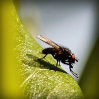 /album/parque-de-actividades-agropecuar/photolia-a04-jpg/