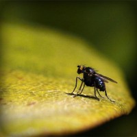 /album/parque-de-actividades-agropecuar/photolia-a07-jpg/